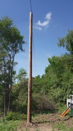 new poles